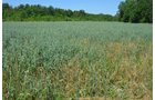 Property photo 17 - 21 Acre Modern Country Estate